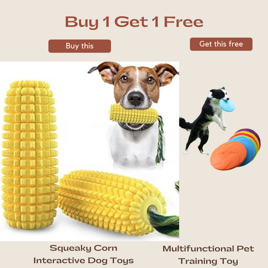 Squeaky Corn Interactive Dog Toys with FREE  Multifunctional Pet Training Disc Toy