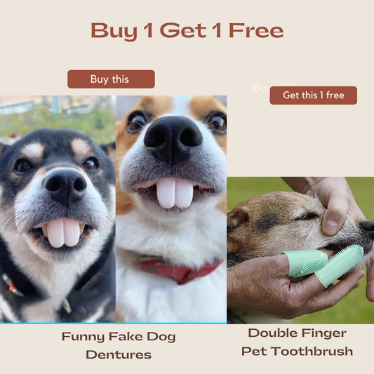 False Teeth For Dog Funny Dentures  with FREE Pet Double Finger Toothbrush