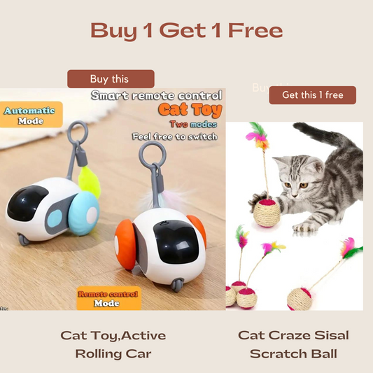 Smart Cat Toy Active Rolling Car with FREE Cat Craze Sisal Scratch Ball