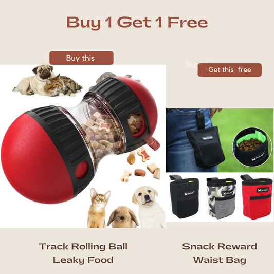 Track Rolling Ball Leaky Food with FREE Snack Reward Waist Bag