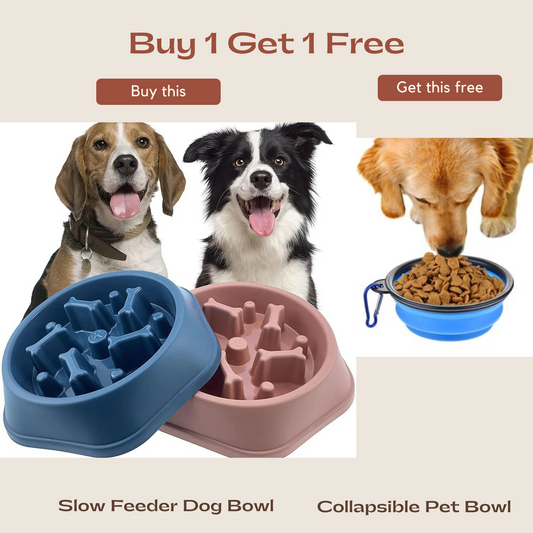 Slow Feeder Dog Bowl with FREE Collapsible Pet Bowl
